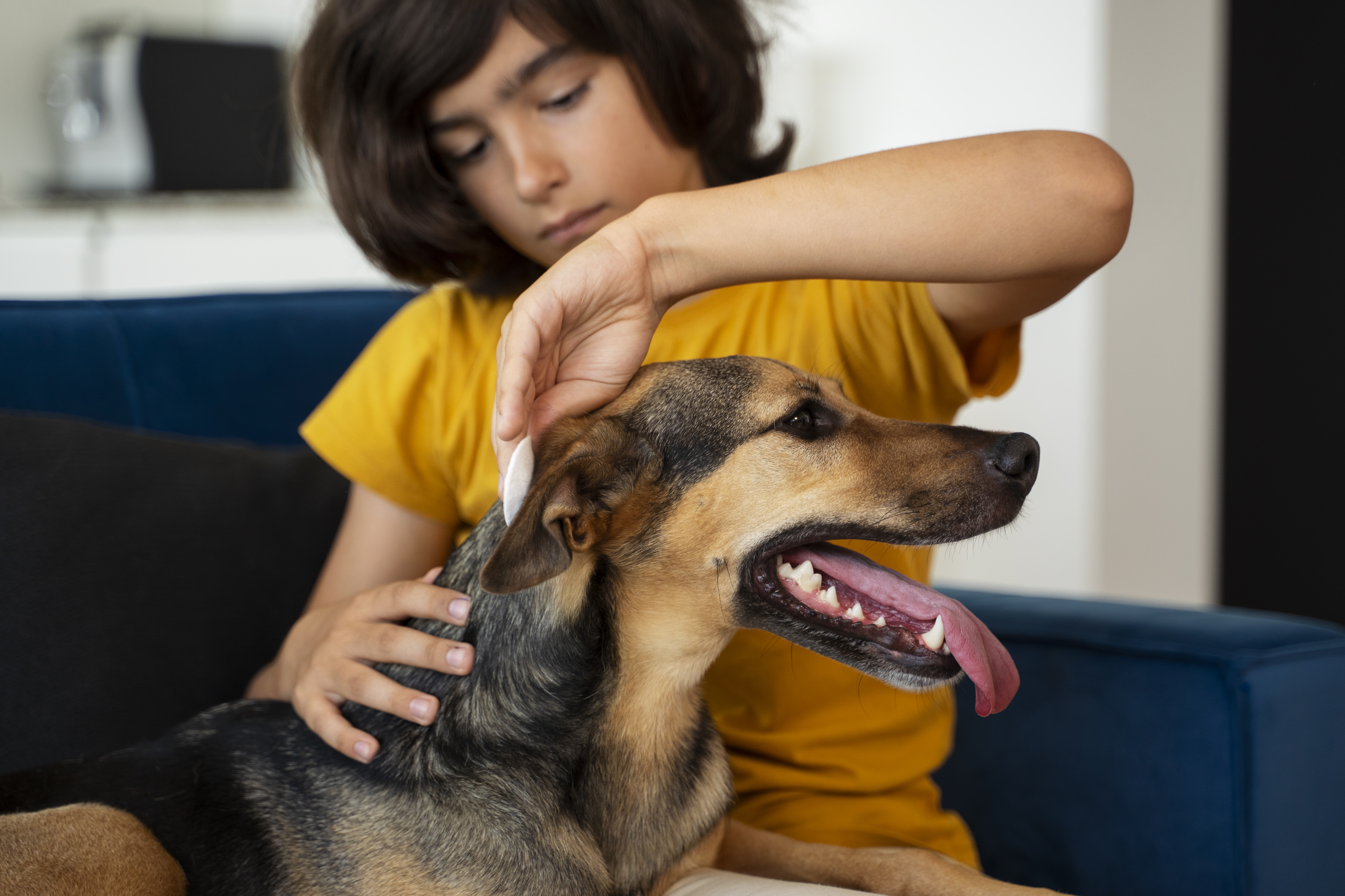 Criança sentada no sofá limpando os pelos do seu cachorro